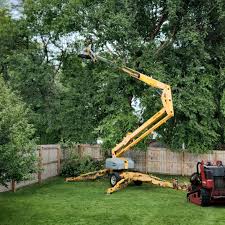 Best Weed Control  in Wrightsville, GA