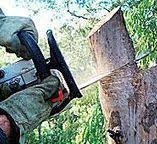Best Leaf Removal  in Wrightsville, GA